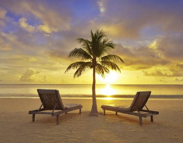 Chaises longues sur la plage au coucher de soleil avec un palmier.
