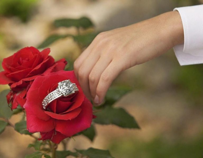 Main dans une chemise blanche touchant une rose rouge avec une bague posée sur la fleur.